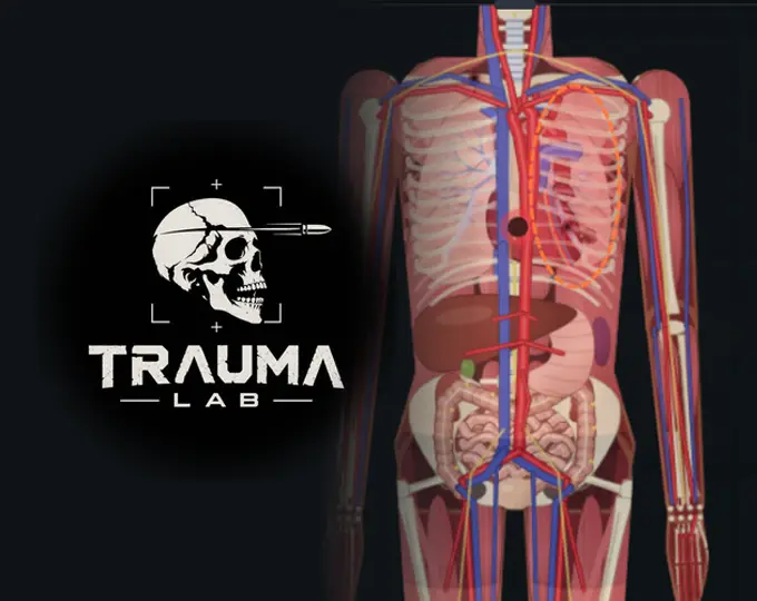 Cover image for Trauma lab